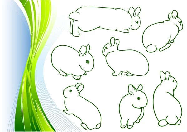 Small bunny — Stock Vector