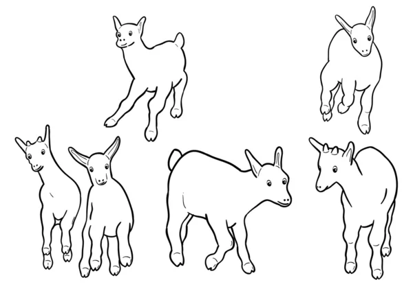 Chèvres — Image vectorielle