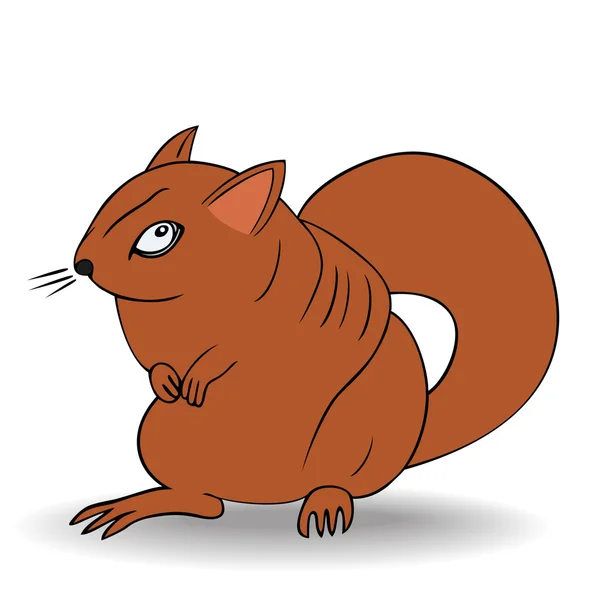 Écureuil en colère - vecteur — Image vectorielle