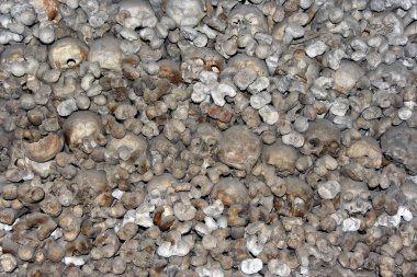 Detail of the human bones and skulls from charnel-house in Mikulov city. Mikulov, Moravia, Czech republic. clipart