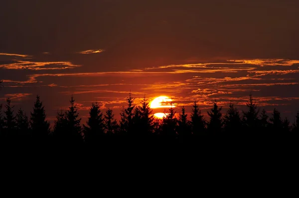 Πυροβολισμό Του Ρόδινη Ουρανού Ηλιοβασίλεμα — Φωτογραφία Αρχείου