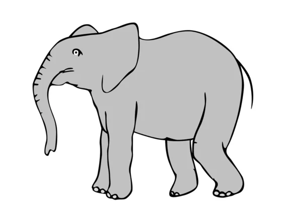 Illustration Elephant Hand Drawing Vector — Stock Vector