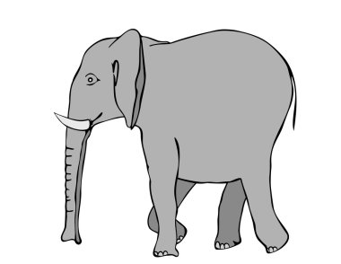 Illustration of the walking elephant - vector clipart