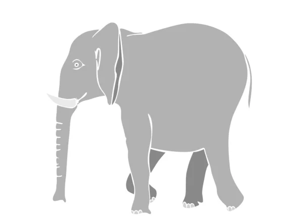 Illustration Walking Elephant Vector — Stock Vector