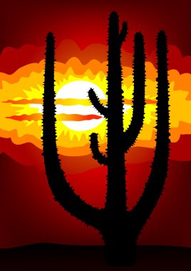 Mexico sunset - vector clipart