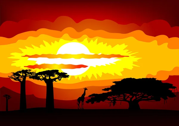 非洲日落-矢量 — 图库矢量图片