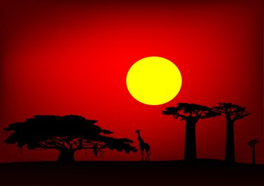 Africa sunset - vector clipart
