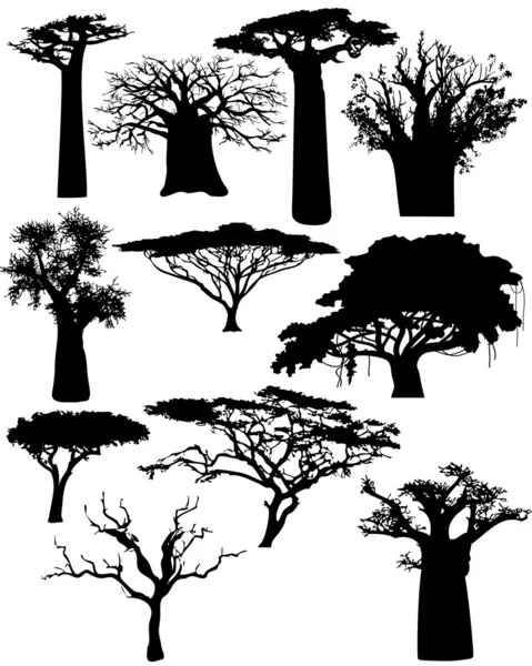 Várias árvores e arbustos africanos - vetor — Vetor de Stock