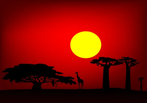 Africa sunset - vector — Stock Vector