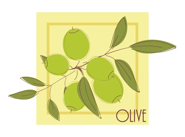 Olive — Vettoriale Stock