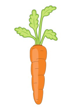 Isolated vector carrot clipart