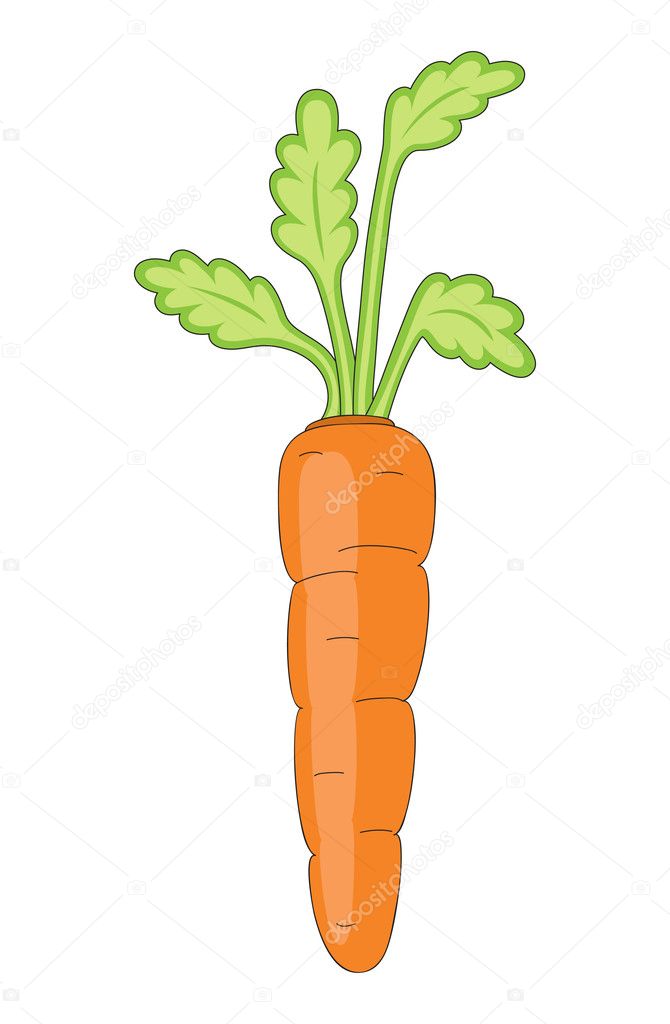 Isolated vector carrot