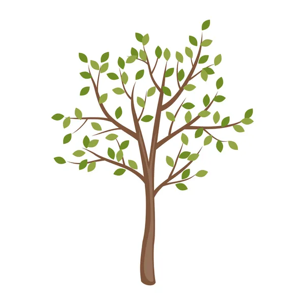 Раннее весеннее дерево — стоковый вектор