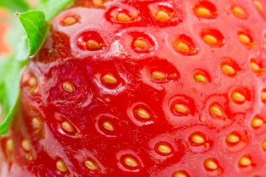 Macro picture of strawberry clipart