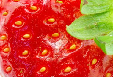 Macro picture of strawberry clipart