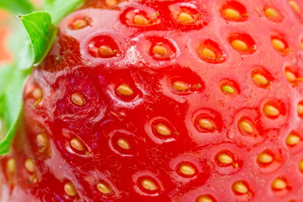 Macro imagen de fresa —  Fotos de Stock