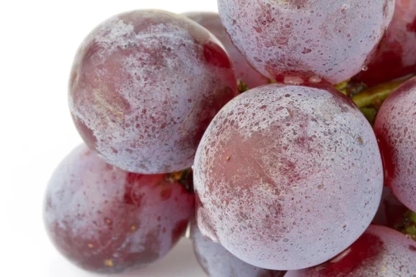 Red grape close up — Stock Photo, Image