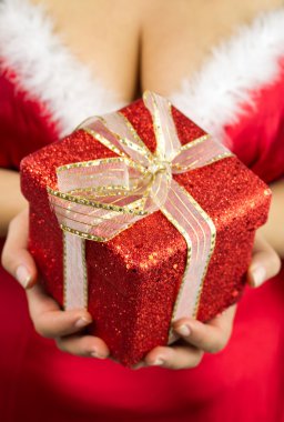 Noel hediyesi güzellik santa