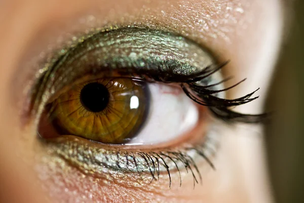 stock image Beautiful female eye