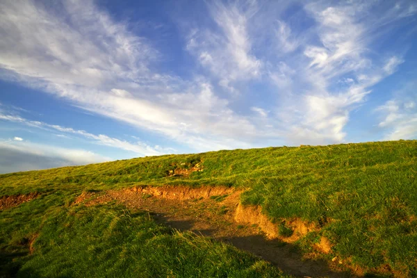 Idyllic green meadow — Stock Photo, Image