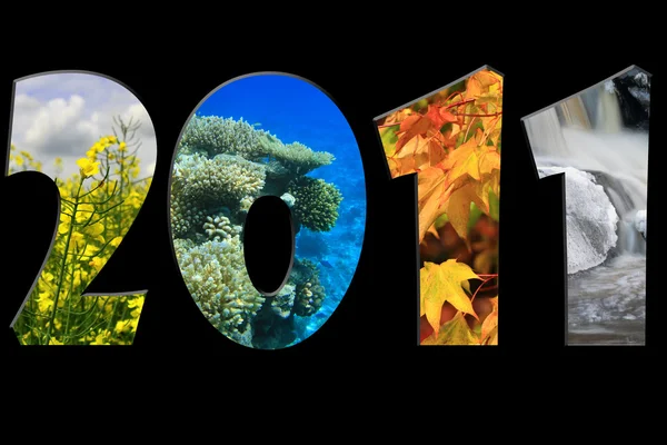 2011 - cztery pory roku — Zdjęcie stockowe