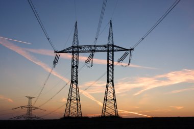 Elektrik direkleri
