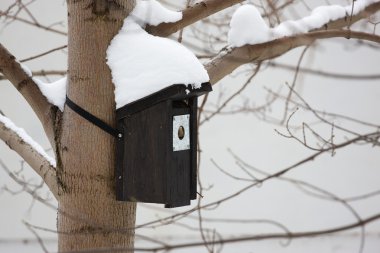 winter vogel huisKış kuş evi