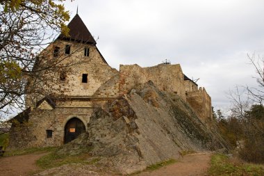 kale tocnik