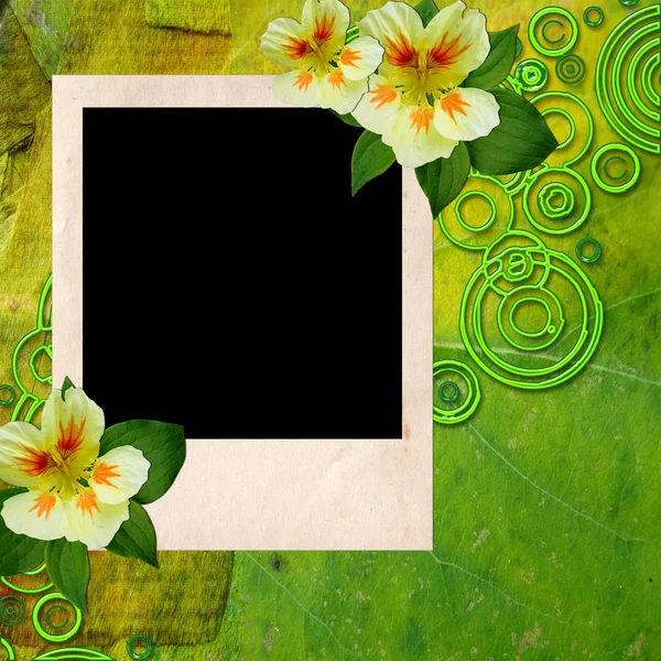 Полароид на зеленом фоне — стоковое фото