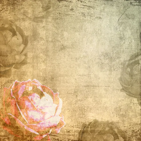 与玫瑰浪漫 grunge 背景 — 图库照片