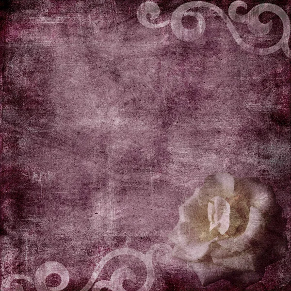 Εκλεκτής ποιότητας floral grunge λευκώματος φόντο με τριαντάφυλλο — Φωτογραφία Αρχείου
