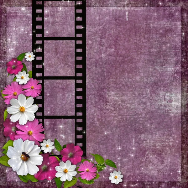 Seitenlayout Fotoalbum mit Blumen und Filmstreifen — Stockfoto