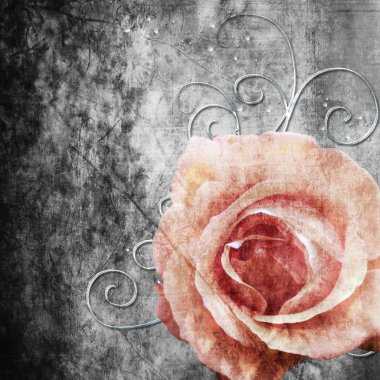 GRUNGE BACKGROUND WITH THE ROSE clipart