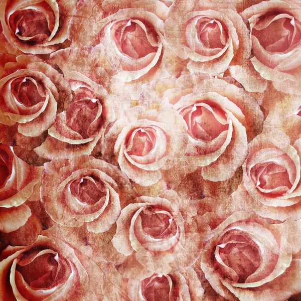 Hermosas rosas grunge fondo — Foto de Stock
