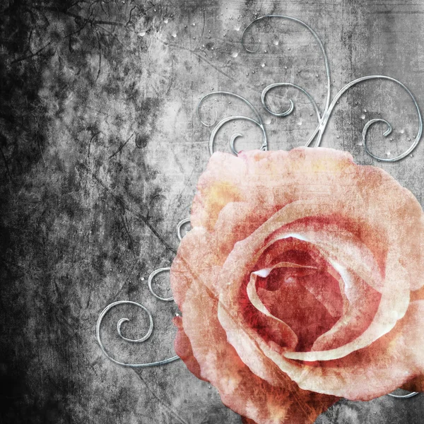 Grunge pozadí s růže — Stock fotografie