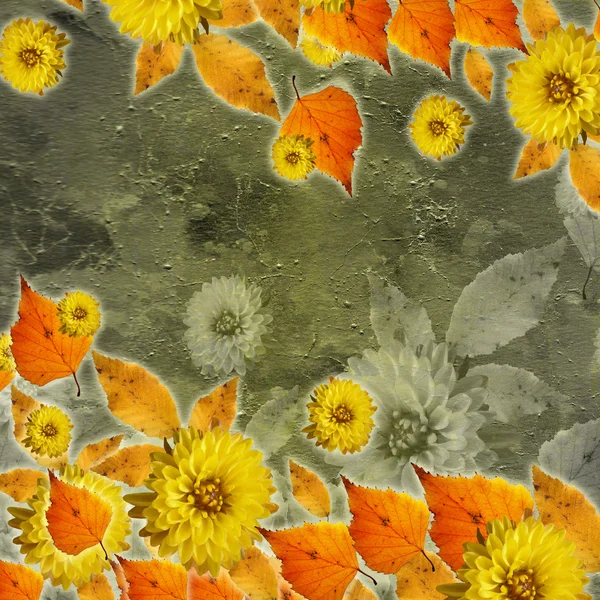 Vackra höstlöv och blommor (1 i set) — Stockfoto