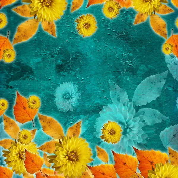 아름 다운 단풍과 꽃 (세트 1) — 스톡 사진