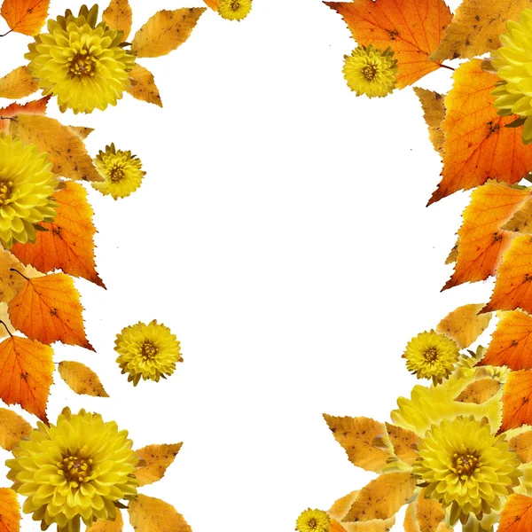 Folhas de outono no fundo branco na borda da foto — Fotografia de Stock