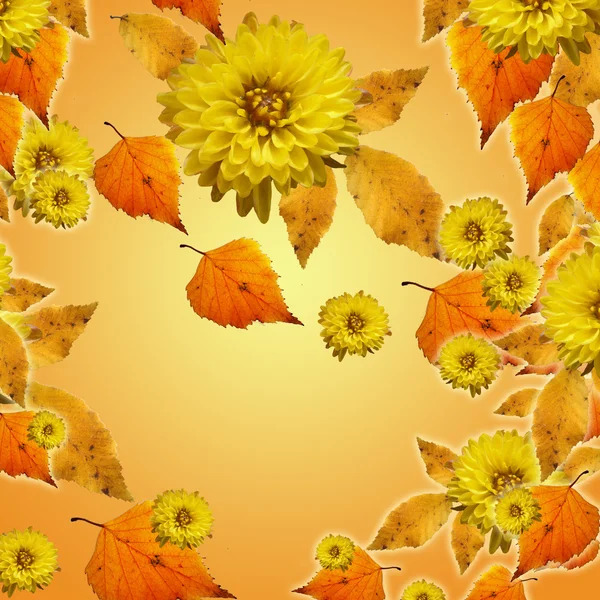 Autumn leaves and flowers — Stock Photo, Image