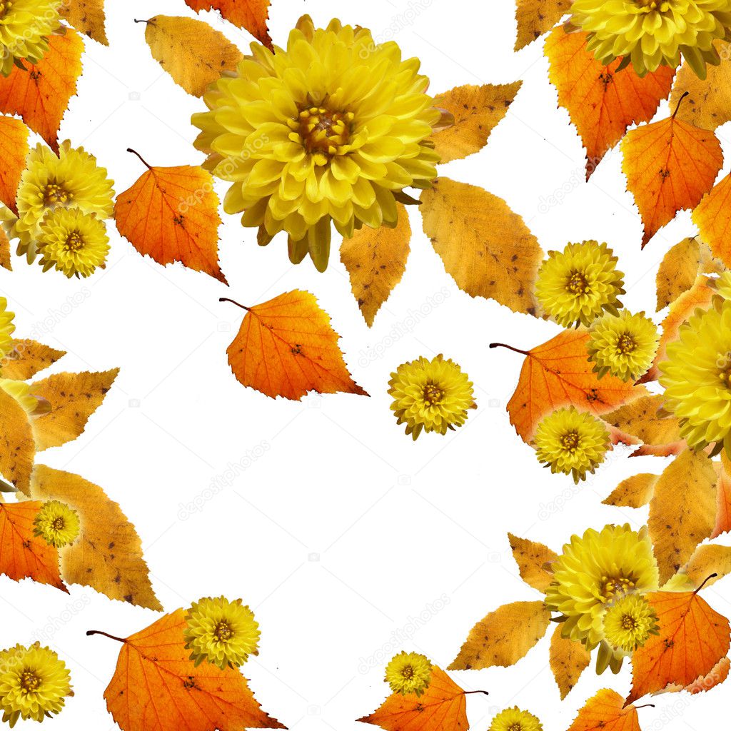 Autumn leaves and flowers