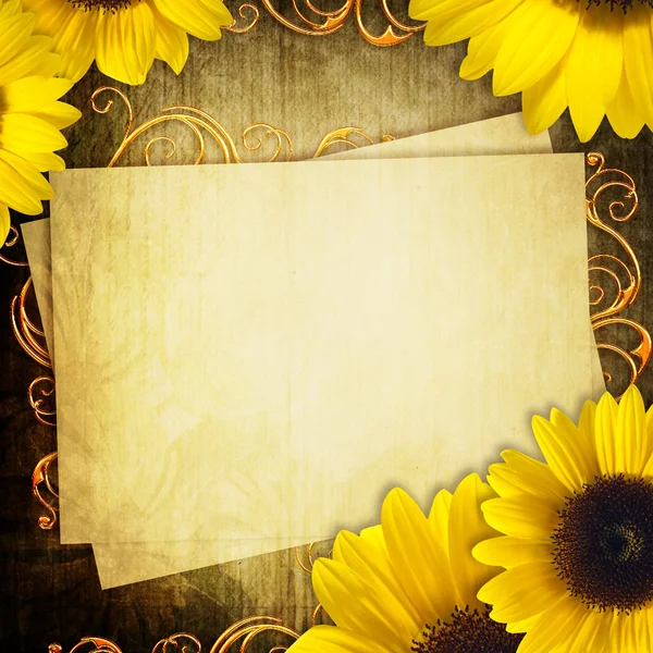 Grunge Greeting card with bunch of sunflowers — Stock Photo, Image