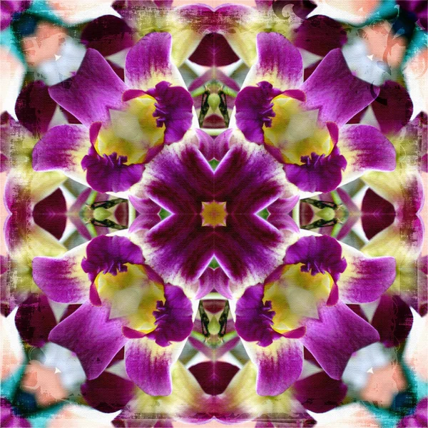 Abstract background, kaleidoscope of flowers — Stock Photo, Image