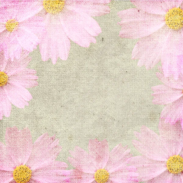 Grunge pembe arka plan daisy ile — Stok fotoğraf