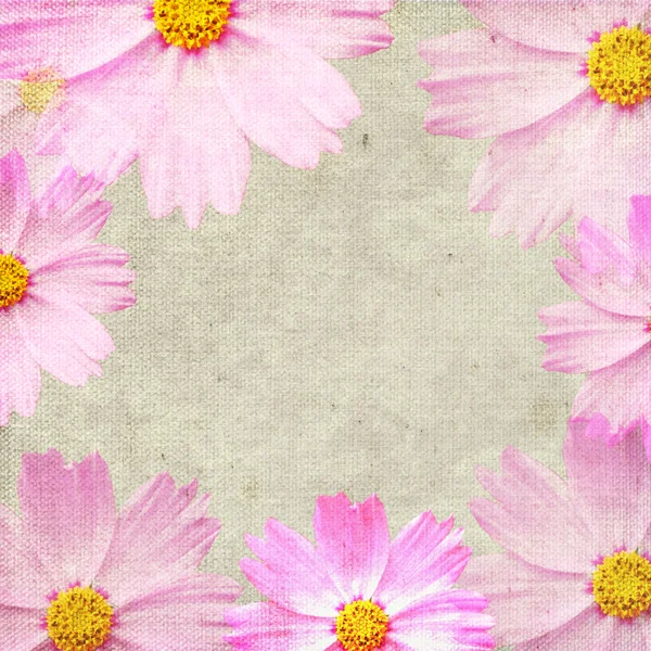 垃圾粉红色背景与雏菊 — 图库照片