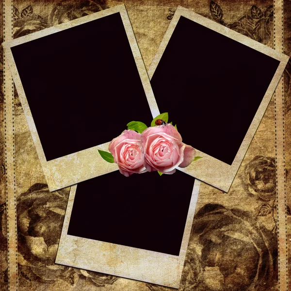 Gruppe leerer Polaroids auf Grunge-Hintergrund — Stockfoto