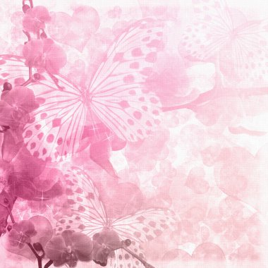 Butterflies and orchids flowers pink background clipart