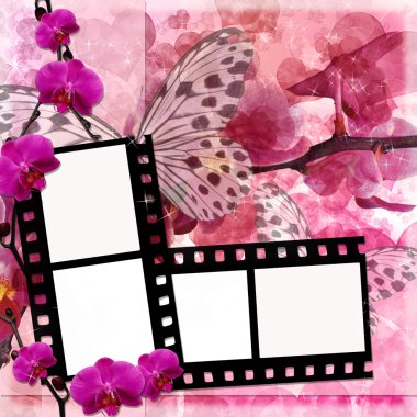 Butterflies and orchids flowers pink background with film fram clipart