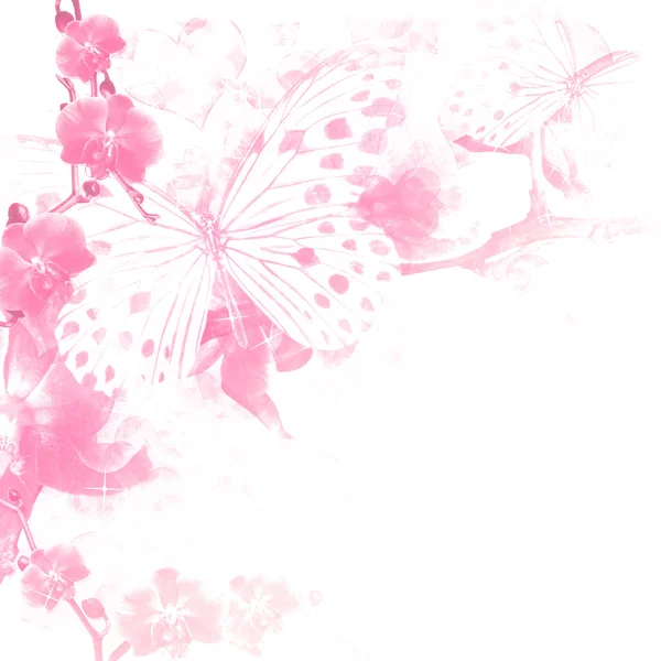 Borboletas e flores fundo rosa — Fotografia de Stock