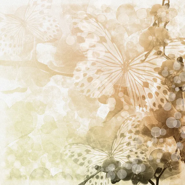 Motyle Storczyków Kwiaty Beżowe Tło Zestaw — Zdjęcie stockowe