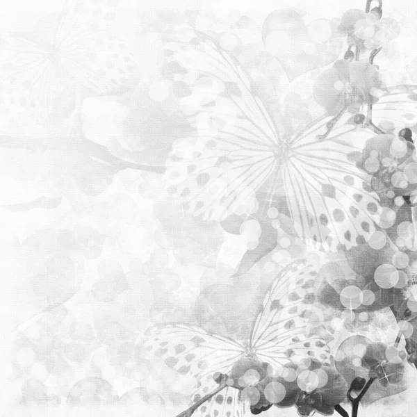 Borboletas Orquídeas Flores Fundo Branco Conjunto — Fotografia de Stock